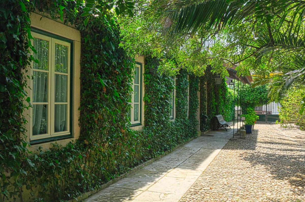 Casa Do Foral Guest House Rio Maior Exterior foto